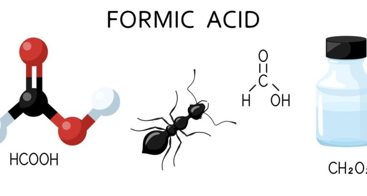 SNDB: The Most Trusted Formic Acid Industrial Chemical Manufacturer in India