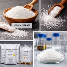 Exporting Sodium Nitrate Worldwide: SNDB’s Quality and Compliance Standards