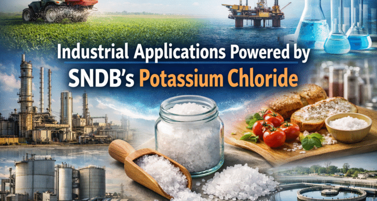 Industrial Applications Powered by SNDB’s Potassium Chloride
