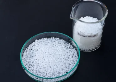 Health Concerns Related to Sodium Nitrate Consumption | SNDB Best Manufacturer and Supplier